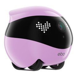 Videosorveglianza animali SMART EBO Air 2 Robin pink EA0414