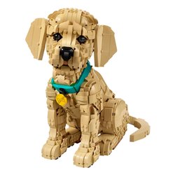 Cucciolo di Golden Retriever ( 2102 pz ) ICONS 18a+ 11384