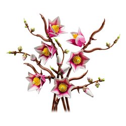 Rametti di magnolia ( 435 pz ) BOTANICALS 18a+ 11510
