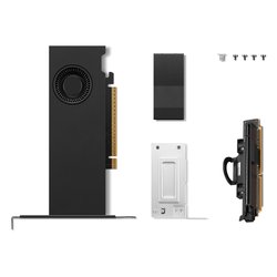 Scheda video NVIDIA RTX PRO 2000 Blackwell 16GB 4X61T95638