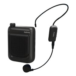Amplificatore vocale BM 541 Black 34912