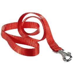 Image of Guinzaglio fisso CLUB (120x2,5 cm) Rosso taglia grande 75360922 cod094