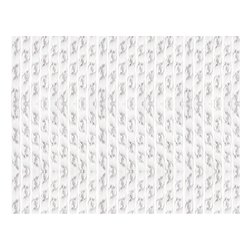 Tenda RAIN Trasparente (100x220cm) 377 100 220 10