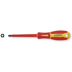 Cacciavite Croce isolato (Pz2x100mm) 0093210