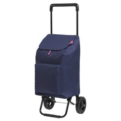 Carrello spesa (42L) ARGO NEW Blu (30x36x94 cm) 169292