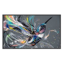 Display professionale 55" 3840x2160 UHD 4K Q LINE Signage Solutions Black 55BDL3511Q 00