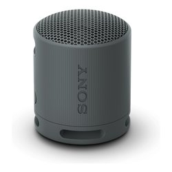Cassa wireless Compact Black 5W SRSXB100B CE7