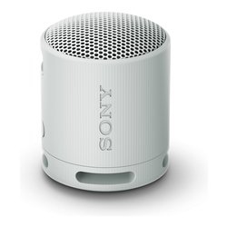 Cassa wireless Compact Gray 5W SRSXB100H CE7