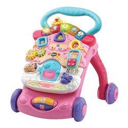 Primipassi Parlante 2 in 1 (9-36m) BABY Rosa 505659