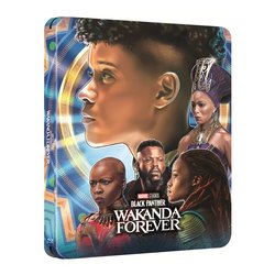 Image of Blu Ray 4K nero Panther - Wakanda Forever (Steelbook Wakanda) (4K Ultra Hd+Blu-Ray Hd) - Ryan Coogler 869872RVDO cod094