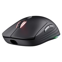 Mouse Gaming GXT 926 Redex II Black 25126