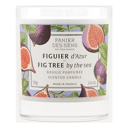 Candela profumata cera vegetale fico azzurro - 275 gr