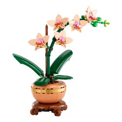Mini-orchidea ( 274 pz ) BOTANICALS 18a+ 10343