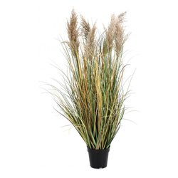 Pianta artificiale PIANTA GYNERIUM PAMPAS C-VASO H120 0173025