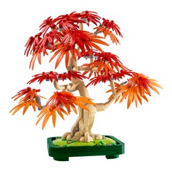 Image of Bonsai di acero rosso giapponese ( 474 pz ) BOTANICALS 18a+ 10348 cod094