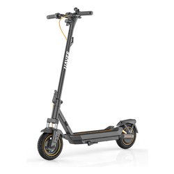 Monopattino elettrico ruote 10" 48V 350W Grigio (118x59x126 cm) GT3-E