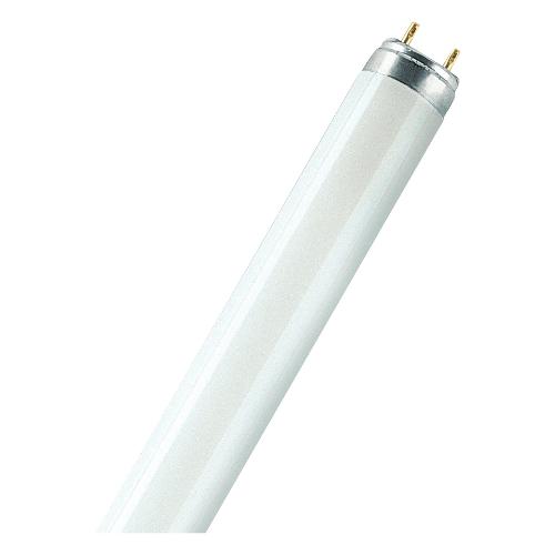 Tubo neon G13 (18W) , luce fredda LUMILUX T8