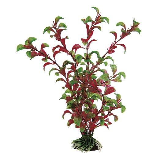 Pianta per acquario BLU Rotala Verde e Rosso 69071000