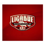 Nuovi arrivi - campovolo 2.011 - Ligabue - Warner Music -