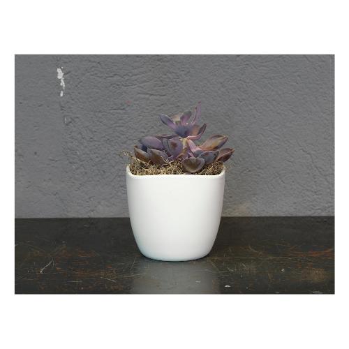 Coprivaso LARA 904 17Va Bianco (17x17x15,5 cm)