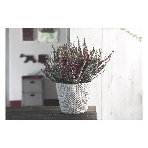 Vaso piante tondo SPLOFY bianco (30x25 cm) 30 C2