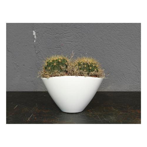 Vaso per orchidee BRUNA vaniglia (20x15 cm) 405 20VA