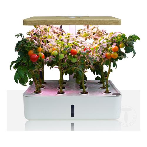 Serra idroponica auto irrigante  12 posti Green Garden (35x26x24 cm) Bianco opaco 4163