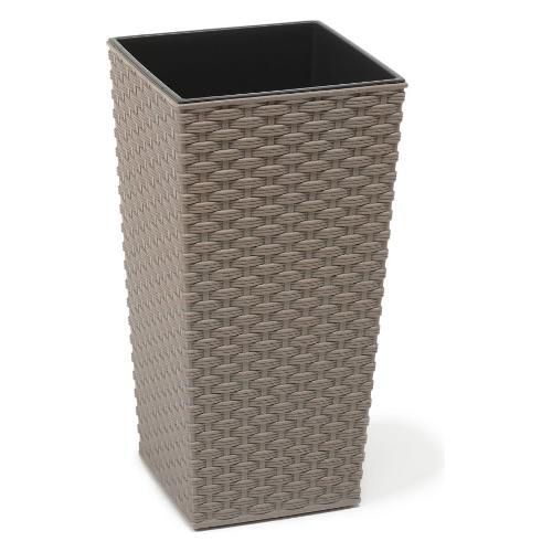 Rattan Kaspo
