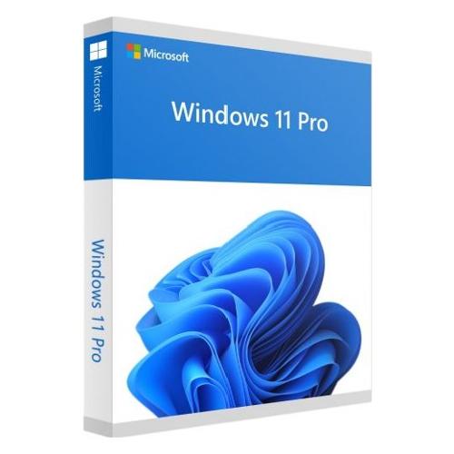 Windows 11 Professional FQC 10538