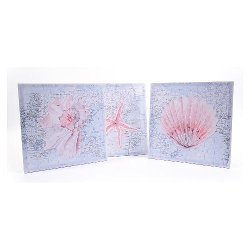 SHELLS Stampa su tela (40x40cm) 41681