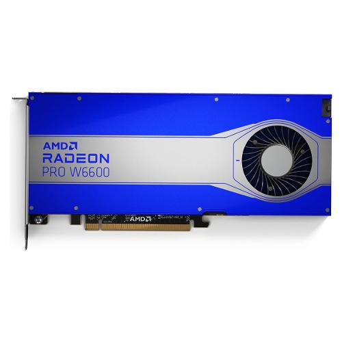 Scheda video RADEON PRO W6600 8GB 100 506159