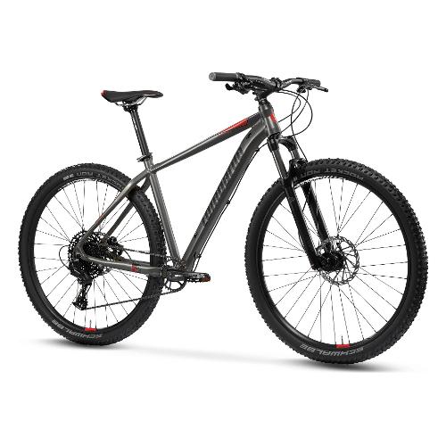 Mountain Bike alluminio ( 12 vel ) 29" IMPERIA 5.0 Titanio e Bianco opaco DH2901 (taglia 48 )