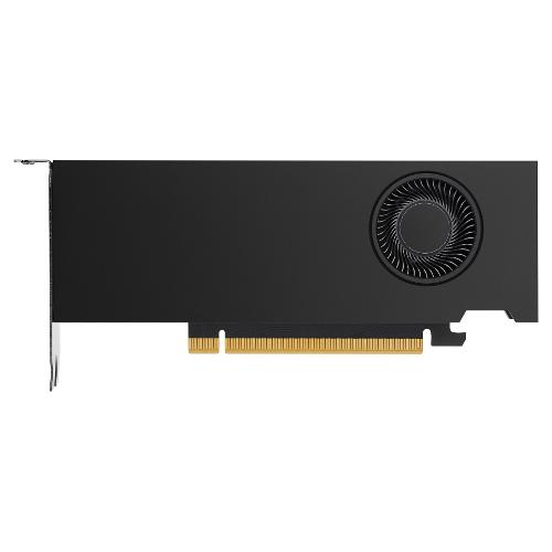 Scheda video NVIDIA RTX A2000 12GB 5Z7D9AA