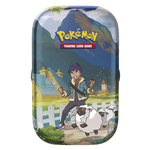 Carte Pokemon Mini Tin PK60280ISINGPZ