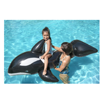 Cavalcabile Orca 203x102 41009-2
