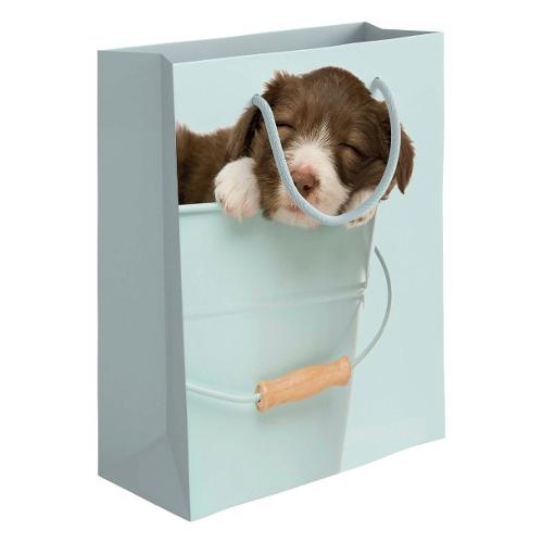 Shopper regalo (26x12x32 cm) Dog Acquamarina PLC47