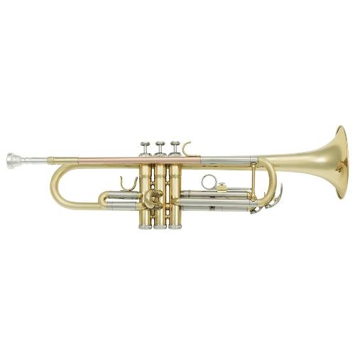 Tromba PARIS Vsm Tp300 Gold 14600432