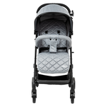 Passegg.Miley (m.22Kg)L.Grey 31001030147