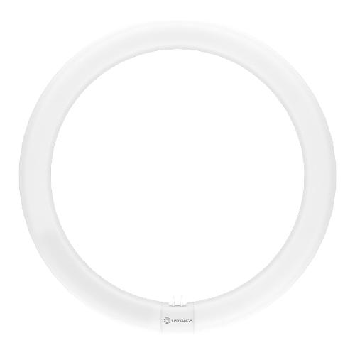 Circolina led G10q (20W) , luce fredda T9 LED