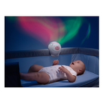 11558.10 Proiettore Orso Polare Rosa