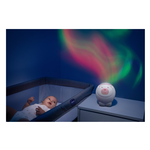 11558.10 Proiettore Orso Polare Rosa