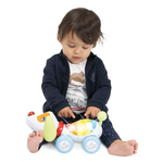 11545 Cagnolino Radiocom.Dogremi