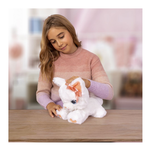 BELLA Gattina Adorabile 907737