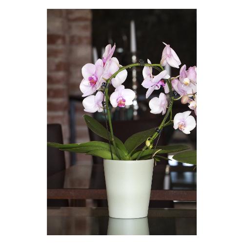 Vaso per orchidee AURORA verde (14x14 cm) 712 14VR