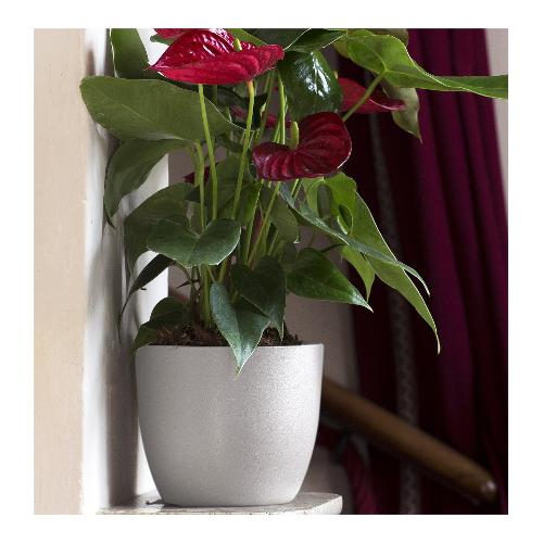 Vaso per piante IRIS bianco (13x12 cm) 116 13B