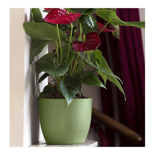 Vaso per piante IRIS verde (11x9 cm) 116 11VM