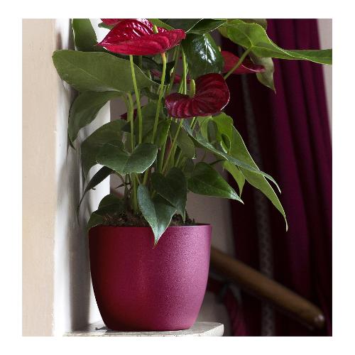 Vaso per piante IRIS fucsia (13x12 cm) 116 13F