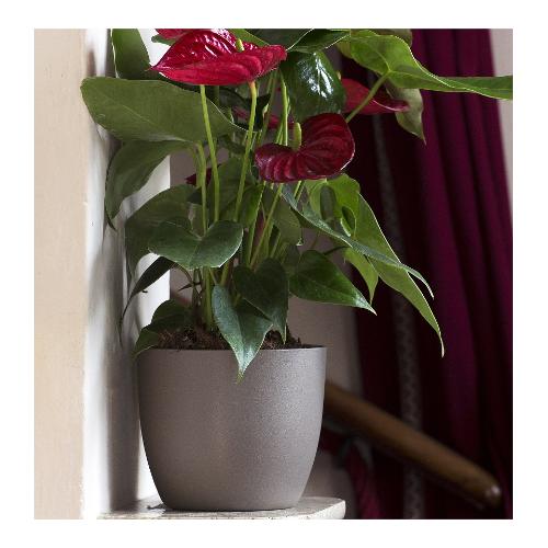 Vaso per piante IRIS antracite (11x9 cm) 116 11AN