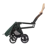Passegg. Leona 2 Green 1204050111
