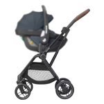 Passegg. Leona 2. E.Graf. 1204750111